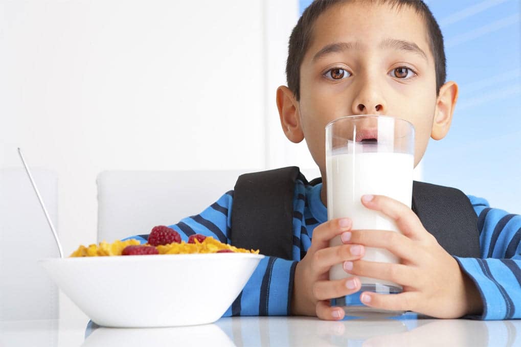 Back To School and Back to Healthy Breakfasts